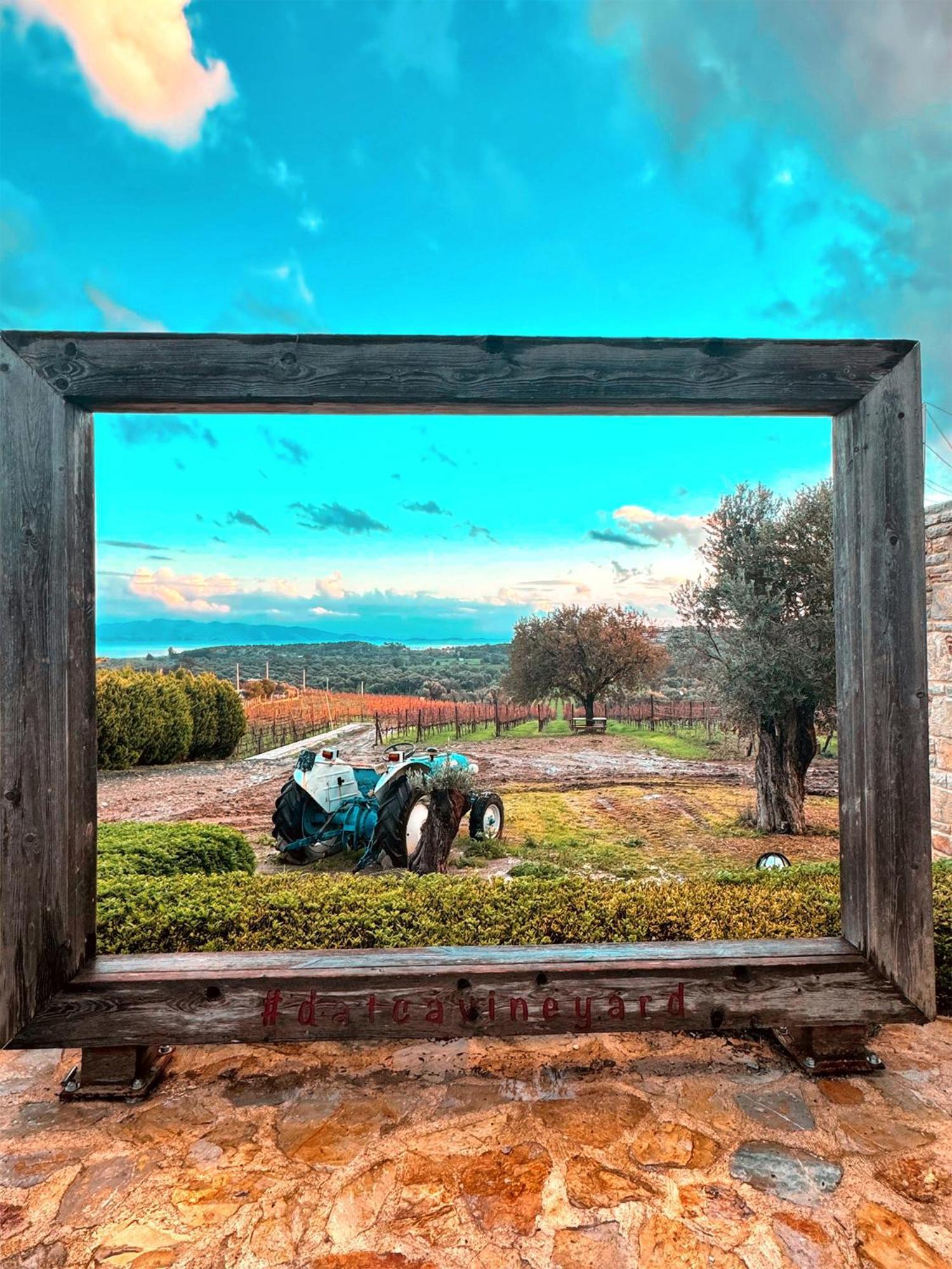 Datca Vineyard Guesthouse מראה חיצוני תמונה