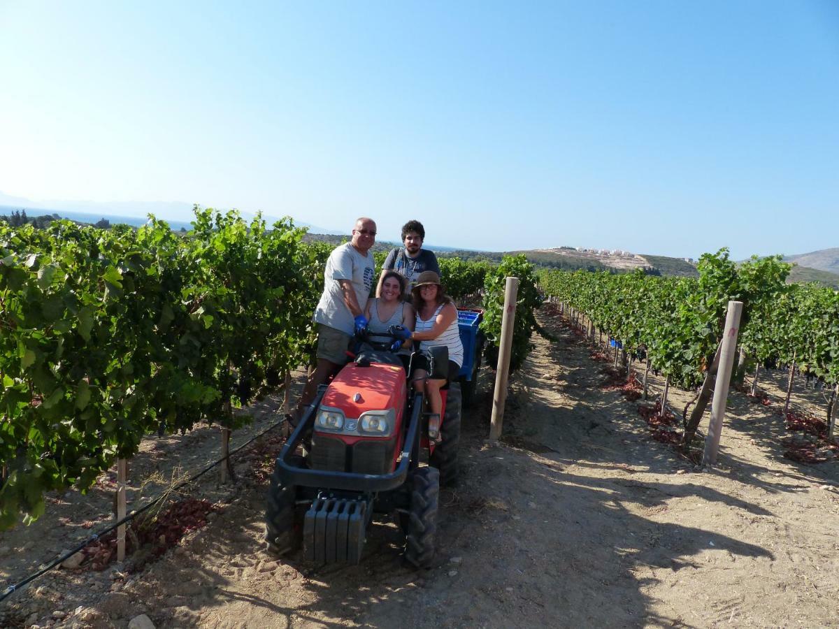 Datca Vineyard Guesthouse מראה חיצוני תמונה