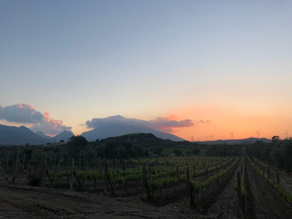 Datca Vineyard Guesthouse מראה חיצוני תמונה